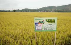 土壤墑情監(jiān)測系統(tǒng)的應(yīng)用效果怎么樣？