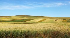 土壤墑情監測站在農田灌溉中的應用