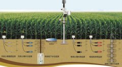 土壤墑情怎么讀，在實際農業中應用怎樣？