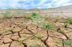 安裝土壤墑情自動監(jiān)測系統(tǒng)有哪些好處?