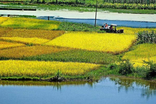 土壤墑情自動監測站淺析