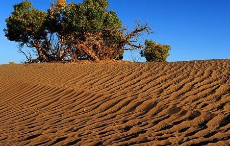 基于物聯(lián)網(wǎng)的區(qū)域農(nóng)田土壤墑情監(jiān)測(cè)系統(tǒng) 基于物聯(lián)網(wǎng)的區(qū)域農(nóng)田土壤墑情監(jiān)測(cè)系統(tǒng)