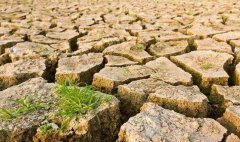 目測土壤墑情？